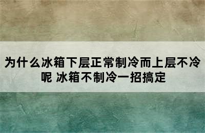 为什么冰箱下层正常制冷而上层不冷呢 冰箱不制冷一招搞定